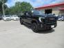 2024 BLACK GMC SIERRA 2500 AT4 (1GT49PEY2RF) with an 6.6L engine, Automatic transmission, located at 908 SE 14th Street, Des Moines, IA, 50317, (515) 281-0330, 41.580303, -93.597046 - Photo#2