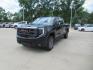 2023 BLACK GMC SIERRA 1500 AT4 (3GTUUEEL8PG) with an 6.2L engine, Automatic transmission, located at 908 SE 14th Street, Des Moines, IA, 50317, (515) 281-0330, 41.580303, -93.597046 - Photo#0