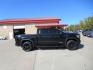 2021 BLACK GMC SIERRA 1500 ELEVATION (1GTU9CED8MZ) with an 5.3L engine, Automatic transmission, located at 908 SE 14th Street, Des Moines, IA, 50317, (515) 281-0330, 41.580303, -93.597046 - Photo#3